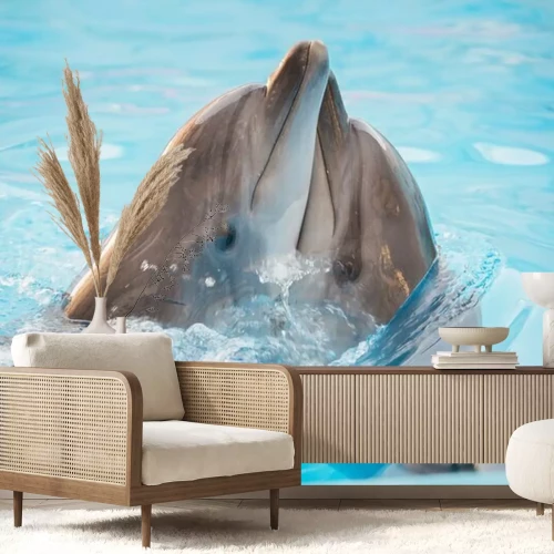 Fototapete Delfine kuscheln