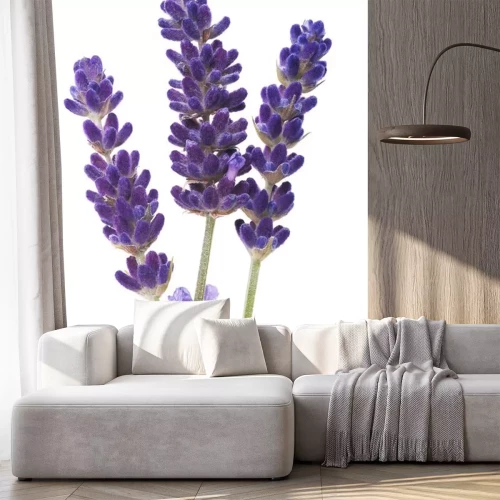 Sticker Lavendelblüte vergrößert