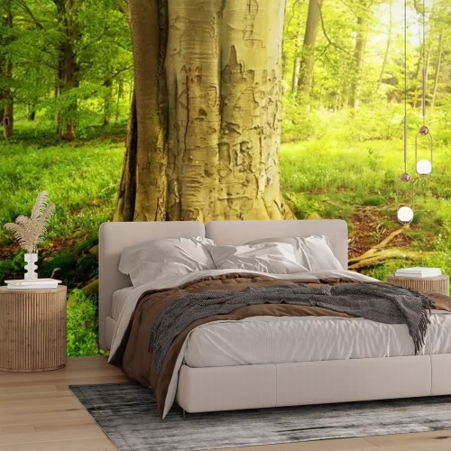 Fototapete Baum im grünen Wald an einem sonnigen Tag