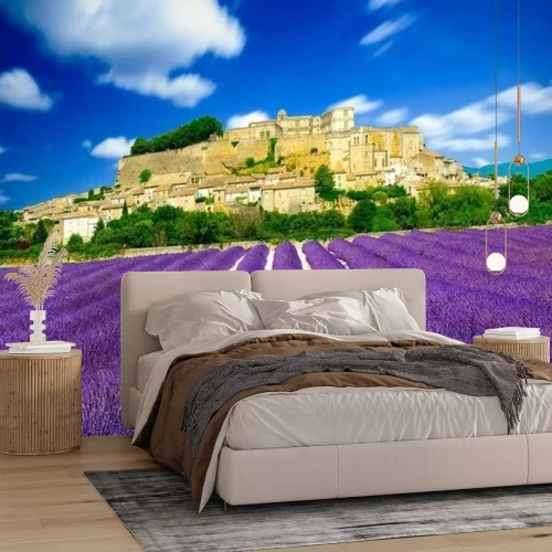 Fototapete Provence - Lavendelfelder in Frankreich