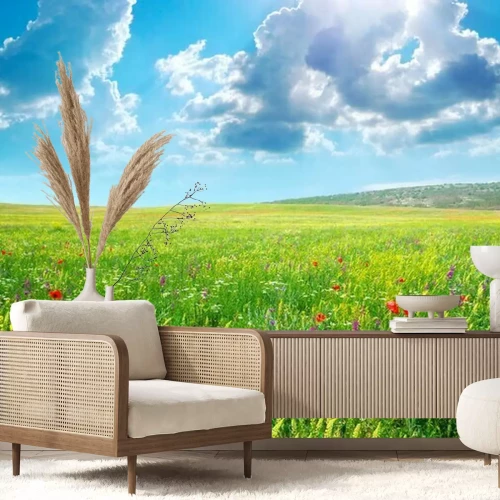 Fototapete 3D Wiese in der Sonne