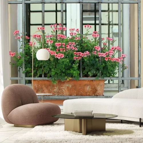 Fototapete Blumen geranien vor dem fenster