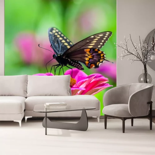 Sticker Schwarzer Schmetterling auf einer rosa Blume