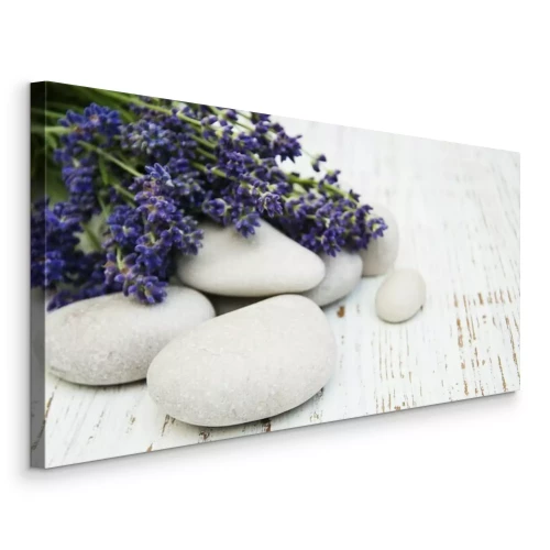 Bild Lavendel auf Felsen