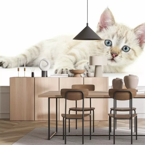 Sticker Katzen weiße Katze auf der Seite liegend mit ausgestreckten Pfoten