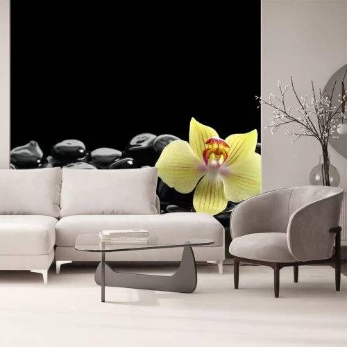 Sticker Schwarz Zen Steine ​​und Orchidee auf ruhigem Wasser Hintergrund