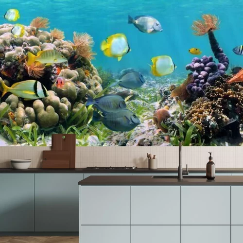 Fototapete Panoramamuster mit Korallenriff