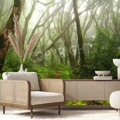 Fototapete Dschungel und Morgennebel