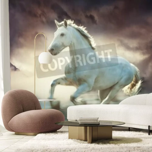 Fototapete Weißes pferd im nebel