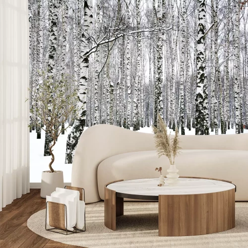 Fototapete Birkenhain im Winter