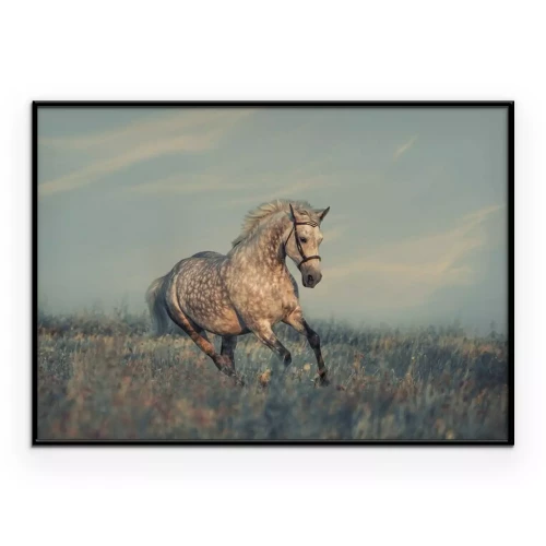 Poster Ein Pferd im Gras vor blauem Himmel