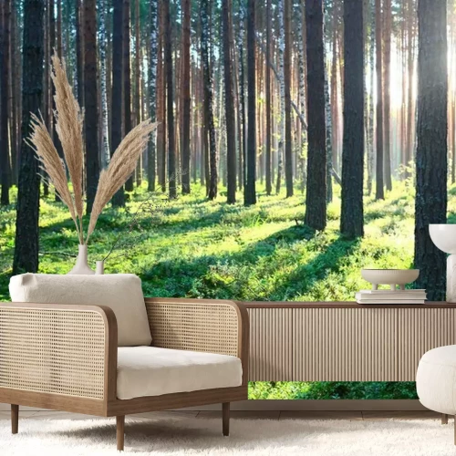 Fototapete Kiefern im Wald