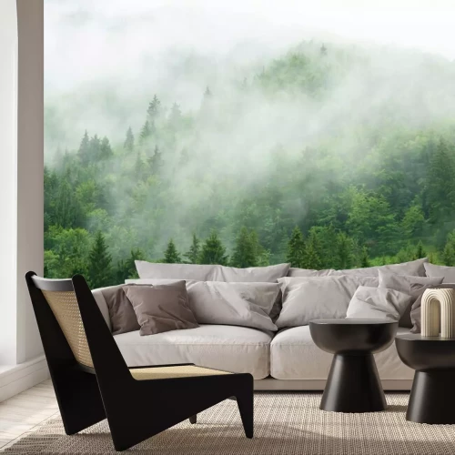 Fototapete Misty  forest