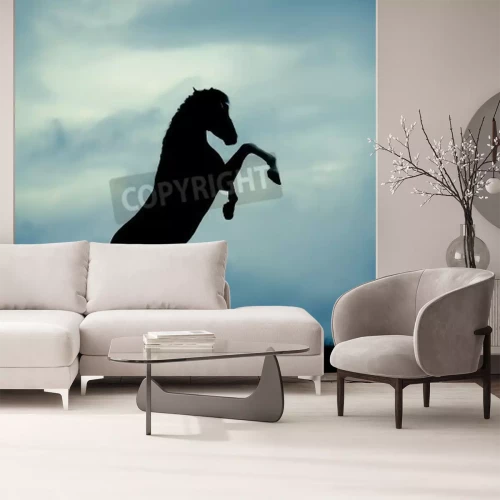 Fototapete Schwarze pferd-silhuette