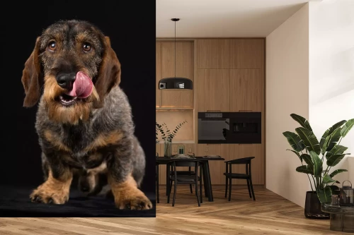 Visualisierung des Produkts