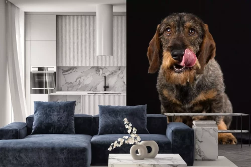 Visualisierung des Produkts