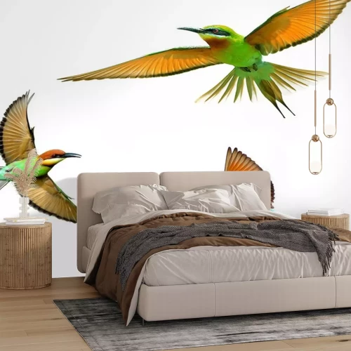 Sticker Orangefarbene Vögel auf hellem Hintergrund