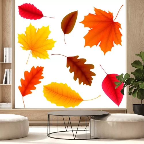 Sticker Autumn Leaves Set