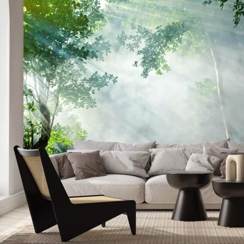 Fototapete Schönen Morgen Tropenwald Sonnenstrahl