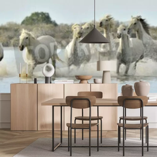 Fototapete Herde laufender wildpferde