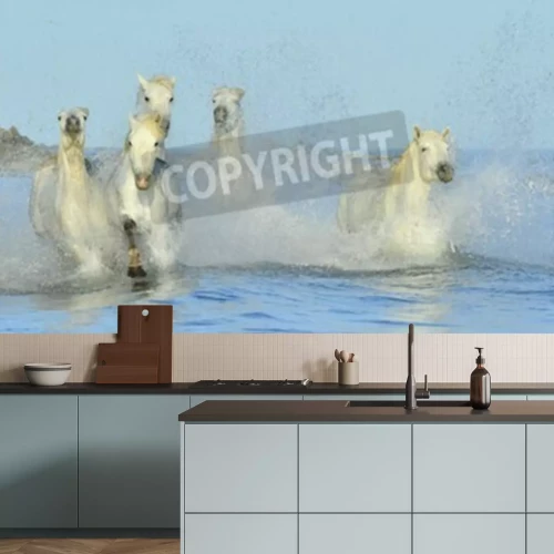 Fototapete Wildpferde im wasser