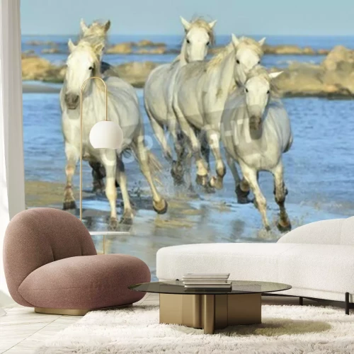 Fototapete Meereslandschaft mit pferden