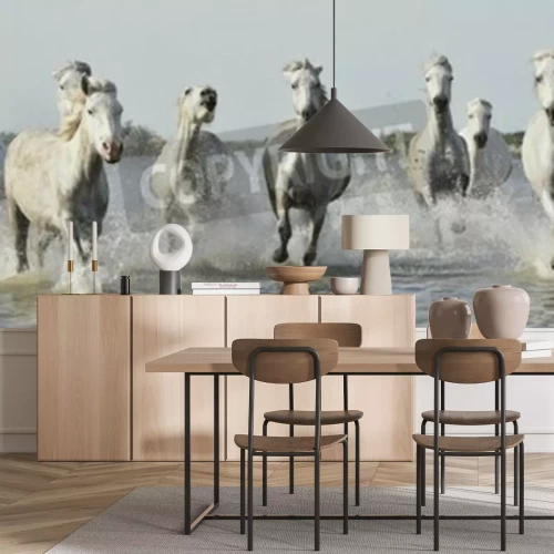 Fototapete Weiße pferde im galopp