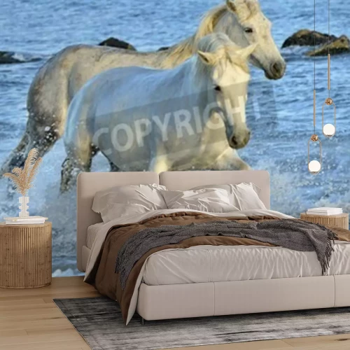 Fototapete Durchs wasser laufende weiße pferde