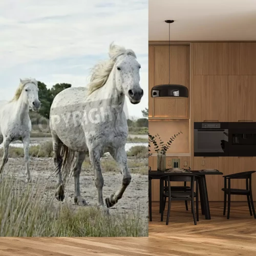Fototapete Galoppierende pferde im nationalpark