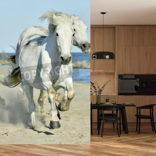 Fototapete Pferde am strand weiße