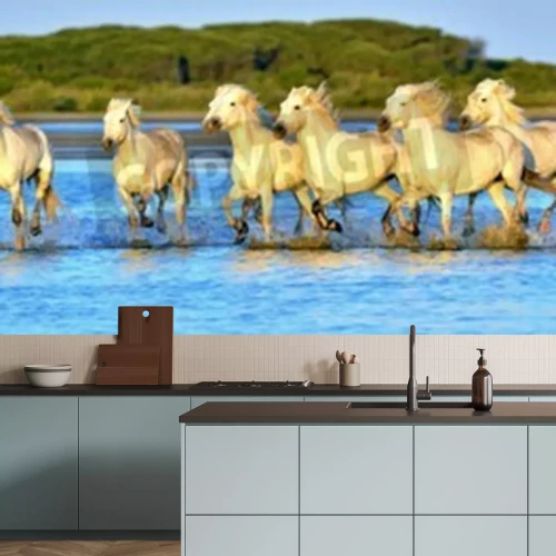 Fototapete Durchs wasser laufende pferdeherde