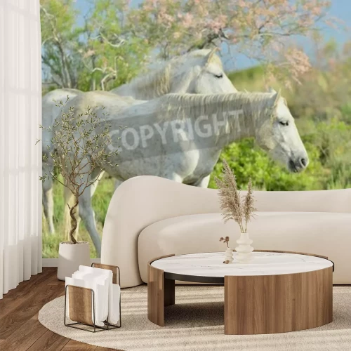 Fototapete Pferde im grünen garten