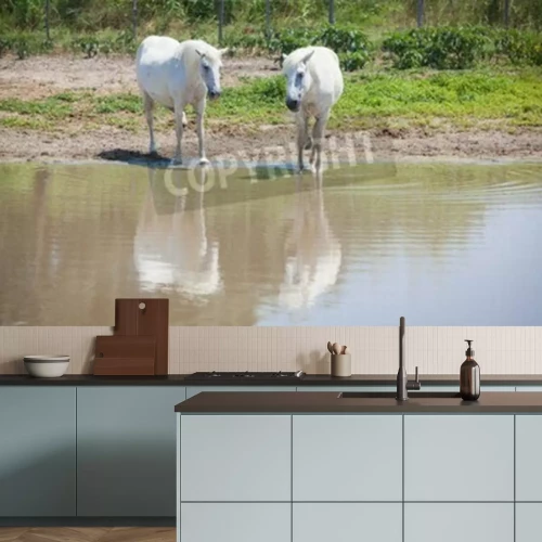 Fototapete Weiße pferde über der seeoberfläche