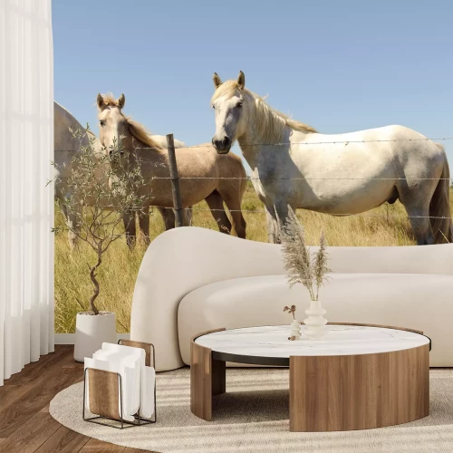 Fototapete Pferde hinter dem zaun