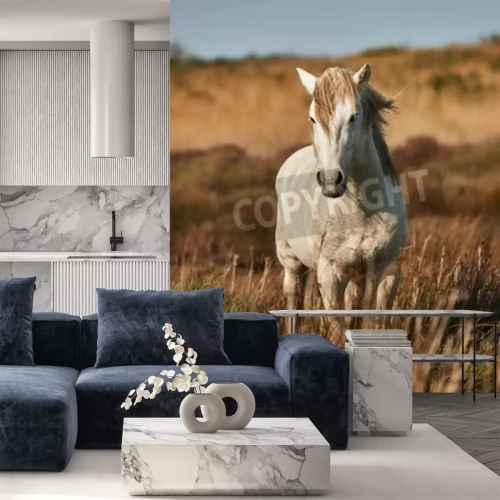 Fototapete Hengst auf einer wilden wiese