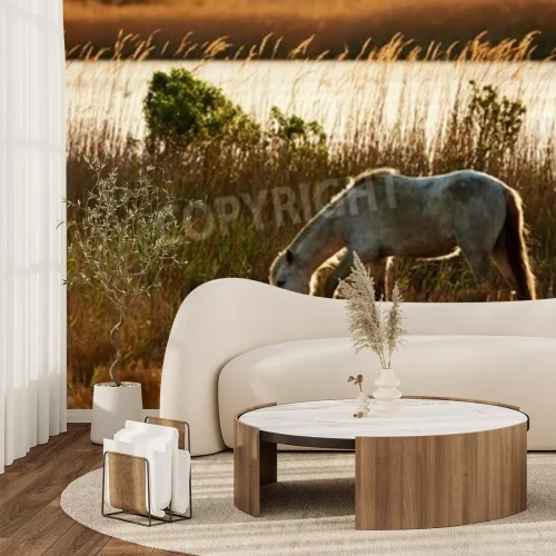 Fototapete Pferd und weißer vogel