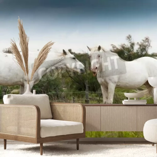 Fototapete Pferde auf dem bauernhof