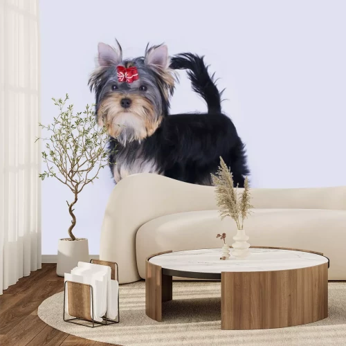 Sticker Hunde Yorkshire mit roter Schleife über den Augen