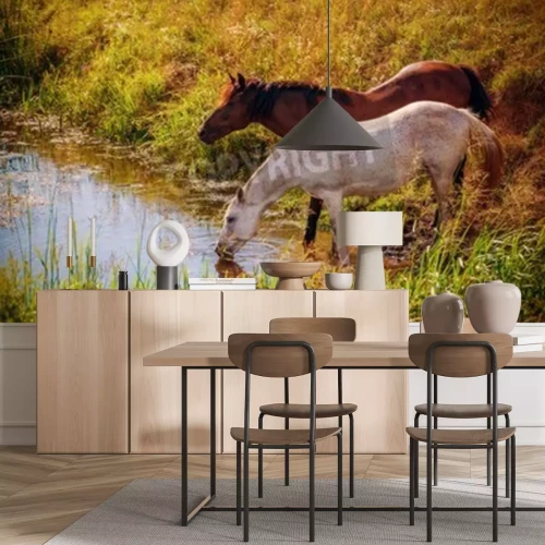 Fototapete Pferde trinken wasser aus dem fluss