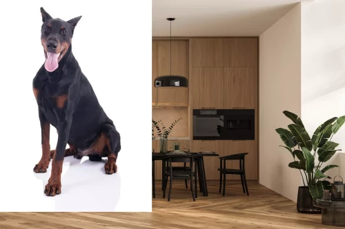 Visualisierung des Produkts