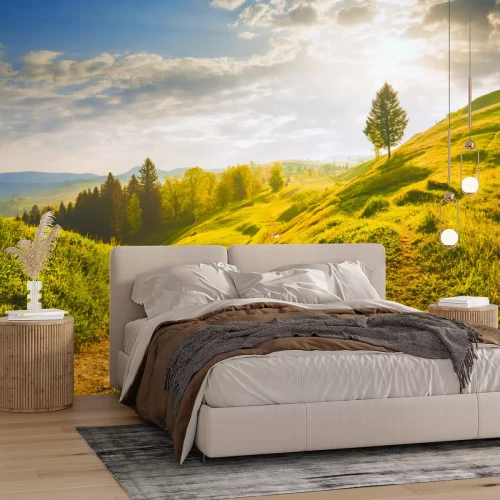 Fototapete Sonnenaufgang über einer Lichtung