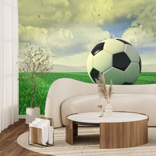 Sticker 3D Fußball im Gras liegend