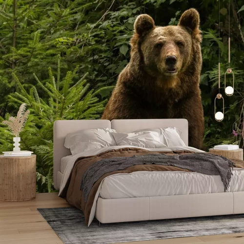 Sticker Europäischer Braunbär "Jurka", Bad Rippolsau-Schapbach, Deutschland