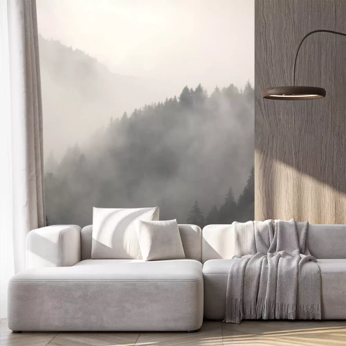 Fototapete Grauwald und berge