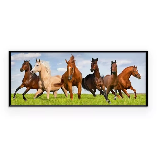 Poster Pferde galoppieren gegen den Himmel