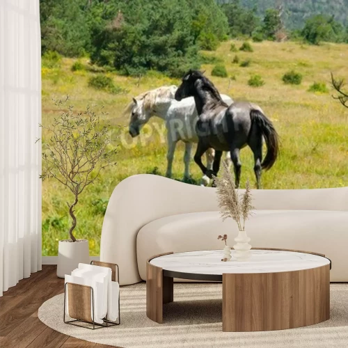 Fototapete Pferde, die auf grünem gras laufen