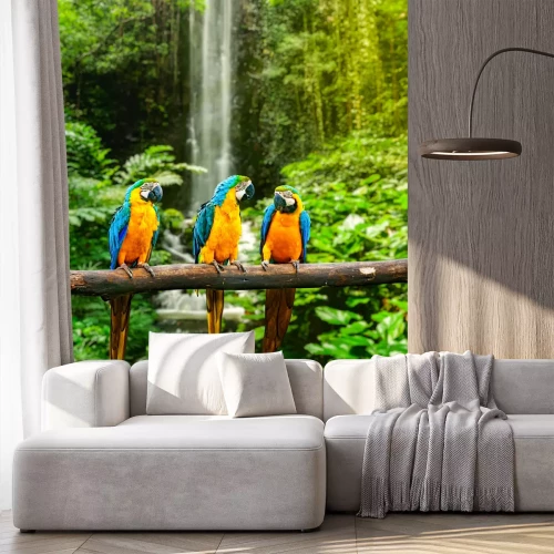 Fototapete Bunte Papageien im Dschungel