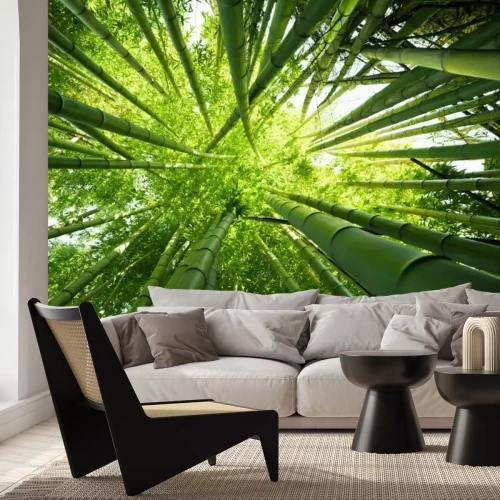 Fototapete Grüner Bambus Natur Hintergründe