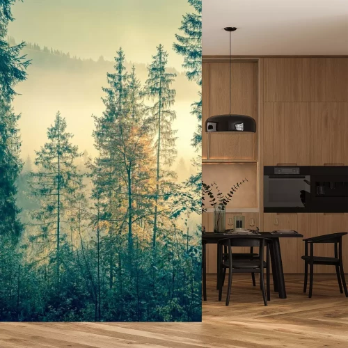 Fototapete Bäume, die im Nebel während des Sonnenaufgangs verborgen sind