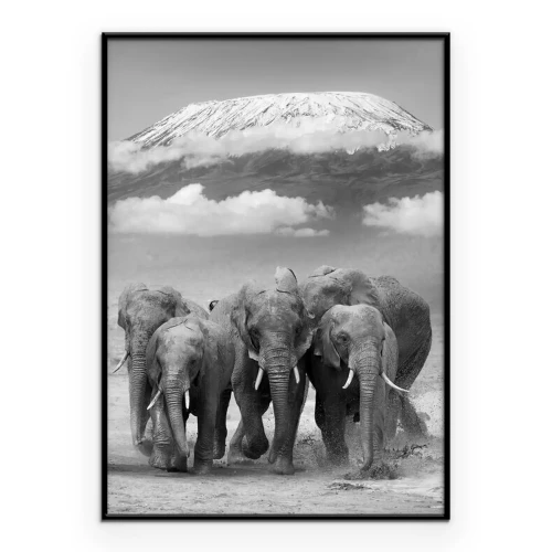 Poster Elefanten vor dem Hintergrund des Kilimandscharo